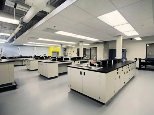 Laboratory with black-topped benches and fume cupboards